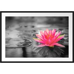 East Urban Home Beautiful Water Lily Black Bild 100x70cm