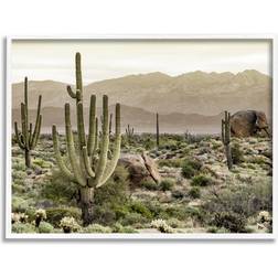 Stupell Industries Rocky Desert White Framed Art 30x24"