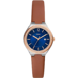 Fossil Eevie (BQ3803)