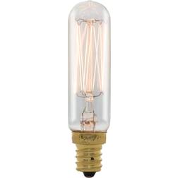 Bulbrite 861500 Incandescent Lamps 25 W E12