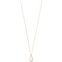 Pilgrim Eila Necklace - Gold/Pearl