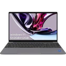 ApoloSign NJP1561P-02 12GB 512GB 15.6"