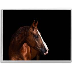 Stupell Industries Modern Horse Grey Framed Art 16x20"