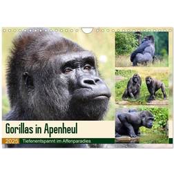 Calvendo 2025 Lowland Gorillas in Apenheul Wall Calendar A4 Landscape