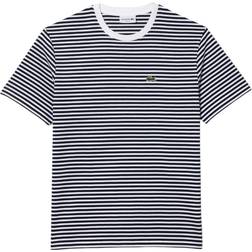 Lacoste Men's Heavy Cotton Striped T-shirt - White/Navy Blue