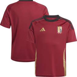 Adidas Belgium Home Fan Shirt 2024 Juniors