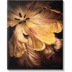 Stupell Modern Hibiscus Photography Canvas Black Framed Art 36x48"