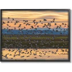 Stupell Flock of Birds Flying Lake Reflection Black Framed Art 30x24"