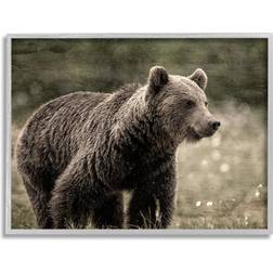 Stupell Industries Brown Bear Wildlife By Kim Allen Framed Art 20x16"