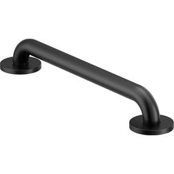 Moen Grab Bar (R8716BL)