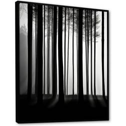Design Art Forest Silence Black Framed Art 30x40"