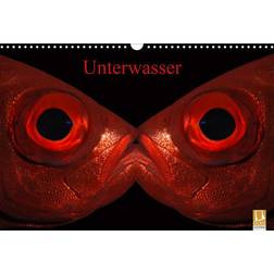 Calvendo Underwater Desk Calendar 2025 A5