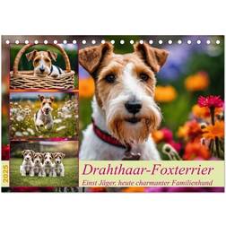 Calvendo Wire-Haired Fox Terrier Desk Calendar 2025 A5