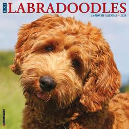 Willow Creek Press Just Labradoodles 2025 Wall Calendar