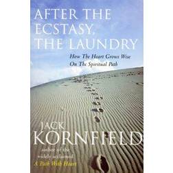 After the Ecstasy, the Laundry (Heftet, 2000)