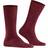 Falke Airport Men Socks - Barolo