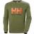 Helly Hansen Logo Crew Sweatshirt - Terrain Green