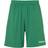 Uhlsport Center Basic Short Without Slip Unisex - Green/White
