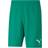 Puma teamRISE Short Men - Green/Black