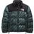 The North Face Printed 1996 Retro Nuptse Jacket - Balsam Green Wooden Tiger Print