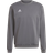 Adidas Entrada 22 Sweatshirt Men - Team Grey Four