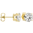 Charles & Colvard Moissanite Solitaire Stud Earrings - Gold/Moissanite