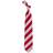 Eagles Wings Regiment Tie - Nebraska Cornhuskers