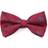 Eagles Wings Oxford Bow Tie - South Carolina