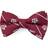 Eagles Wings Oxford Bow Tie - Texas A&M