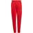 Adidas Adicolor Track Pants - Vivid Red (HB9467)