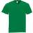 Sols Mens Victory V Neck Short Sleeve T-shirt - Kelly Green