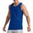 Hanes Men’s Essentials Tank Top - Deep Royal