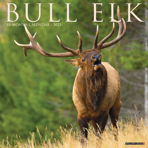 Willow Creek Press Bull Elk 2023 Calendar Compare Prices Klarna US