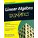 Linear Algebra for Dummies (Paperback, 2009)