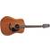 Takamine GD11M