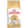 Royal Canin Norwegian Forest Cat 10kg