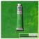 Winsor & Newton Winton Oil Color Permanent Green Light 200ml