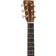 Martin Guitars GPCX2AE