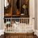 Carlson Mini Pet Gate