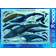 Eurographics Whales & Dolphins 1000 Pieces