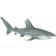 Safari Oceanic Whitetip Shark 100271