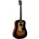 Martin Guitars DJr-10E