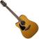 Takamine GD30CELH