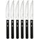 Robert Welch Trattoria Bright Grillmesser 22.2cm 6Stk.