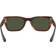 Ray-Ban Caribbean RB2248 954/31