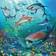 Ravensburger Ocean Life 3x49 Pieces