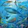 Ravensburger Ocean Life 3x49 Pieces