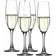 Spiegelau Authentis Champagneglass 19cl 4st