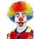 Smiffys Rainbow Crazy Clown Wig