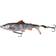 Savage Gear Savage Gear 3D Smashtail 13.5cm Floating Roach